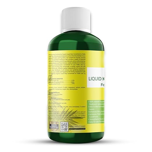 Fiddle Leaf Fig Plant Food – Liquid Seaweed Kelp Fertilizer for Plants – Made in USA (16 OZ)
