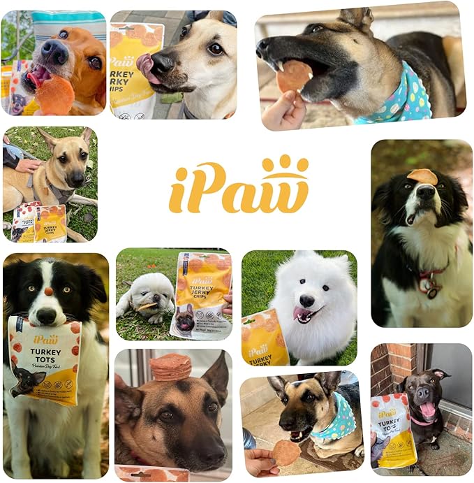 iPaw Chicken Tots Dog Treats for Puppy Training, All Natural Human Grade Dog Treat, Hypoallergenic, Easy to Digest (Chicken Tots), 3 Packs
