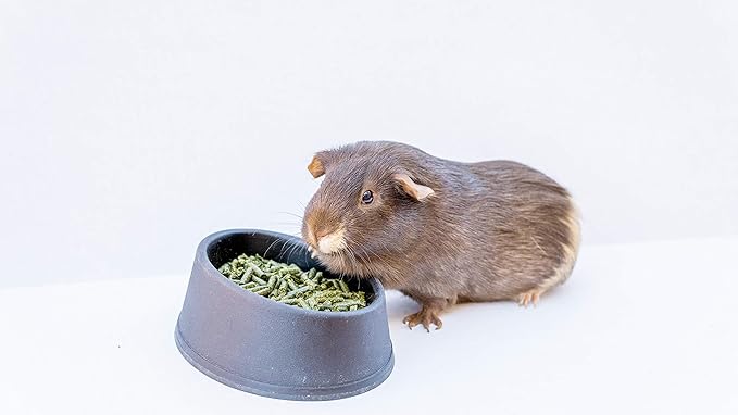 High Desert Timothy Grass Hay Pellets for Rabbits, Guinea Pigs, Chinchillas, and Small Pets (63 oz)