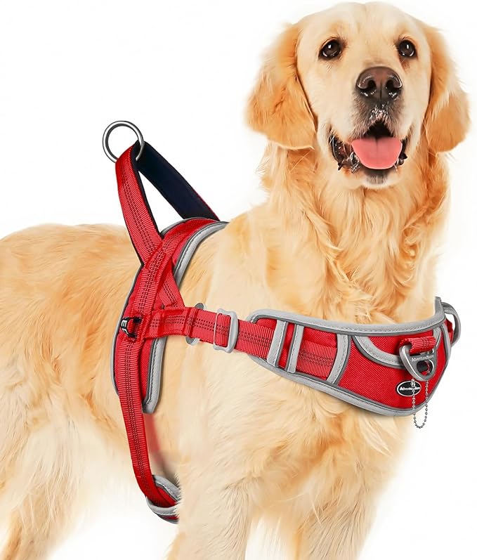 AdventureMore Sport Dog Harness