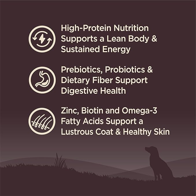 Wellness CORE Dry Dog Food, Grain-Free, High Protein, Natural, Original Turkey & Chicken Recipe, (26-Pound Bag)