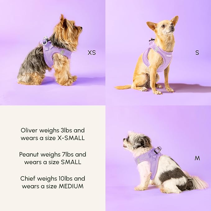 Downtown Pet Supply Step in Dog Harness for Small Dogs - Adjustable, Escape Proof Dog Harness with Reflective Trim - All-Weather, Fast-Drying Padded Mesh Fabric - Lilac, S