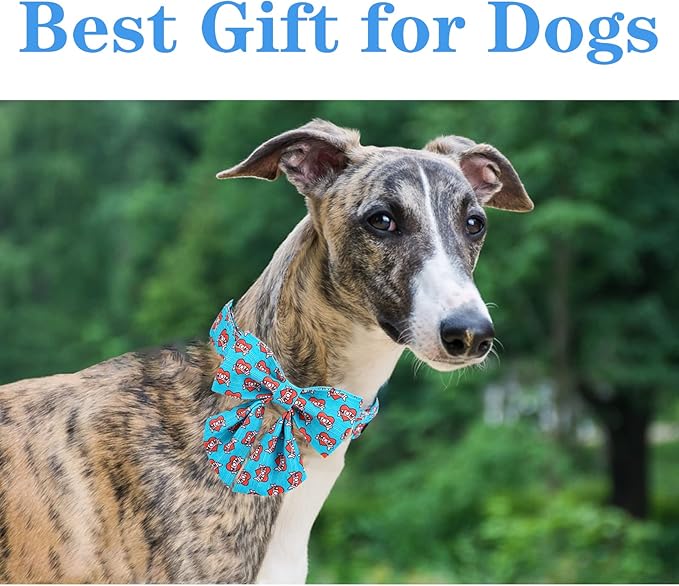 Unique style paws Valentine's Day Dog Collar with Tie Blue Heart Puppy Collar Best Gift for Small Medium Large Boys Girls-XS