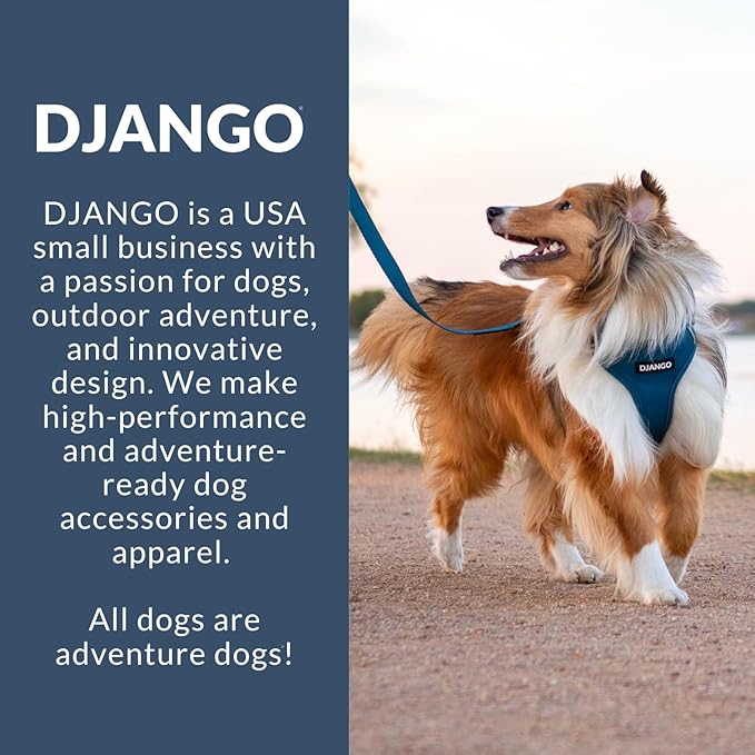 DJANGO Adventure Dog Harness - Stylish and Durable Large Dog Harness for Outdoor Adventures and Everyday Wear - Forest Green Neoprene Adjustable Harness for Dogs with Reflective Piping & Brass D-Ring