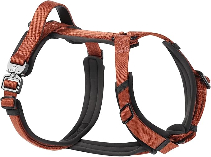 PawsPassion Dog Harness for Medium Dogs, No Pull Dog Harness Easy Walk with Metal Hardware, Ergonomic Y-Shaped Design, Soft Padding, Padded Handle, Durable High-Tensile Nylon (Canyon Red, M)