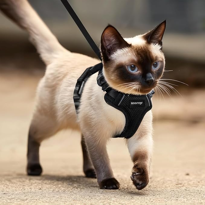 Cat Harness and Leash for Walking, Cat Car Harness, Escape Proof Soft Adjustable Vest Harnesses for Cats, Easy Control Breathable Reflective Strips Harness, Kitten Harness and Leash Set, Black, S