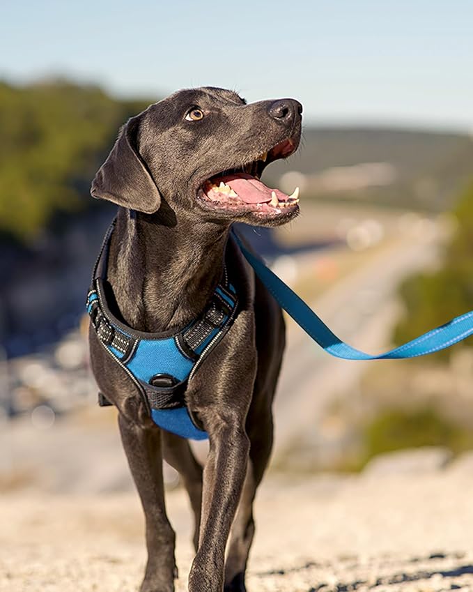 Joytale No Pull Dog Harness for Small Dogs, Reflective Pet Vest with Front Clip, Adjustable Soft Padded Harnesses with Easy Control Handle for Training and Walking, Sky Blue, S