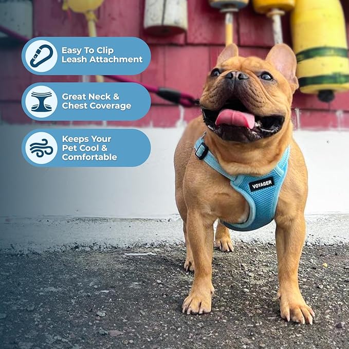 Best Pet Supplies Voyager Mesh Dog Breathable Harness Reflective Stitching, All Weather Adjustable for Walking Training, or Running - Heavy Duty & Durable, Harness Leash Set (Baby Blue), XL