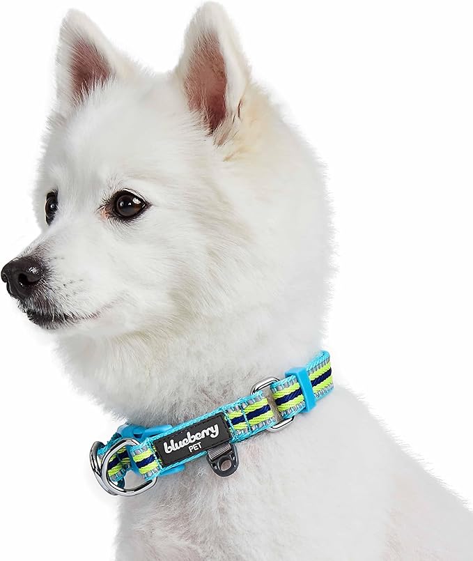 Blueberry Pet Safety Dog Collar with Dual D-Rings | 3M Reflective Multi-Colored Adjustable Collar in Blue and Yellow | Soft Nylon Dog Collar for Active Large Dogs