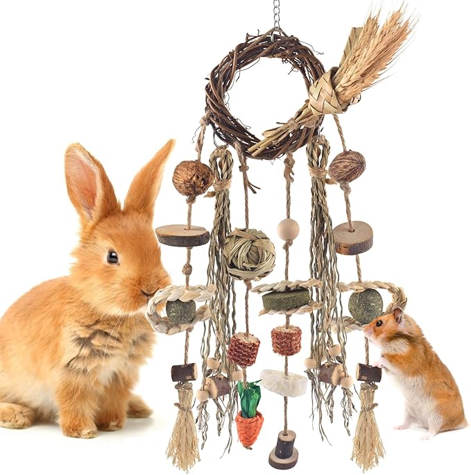 Bissap Bunny Chew Toy, Rabbit Cage Hanging Chewing Toy Treat Christmas Grapevine Wreaths Rattan Ring with Snack Water Grass for Guinea Pig Chinchilla Hamster Rat and Other Small Pet Teeth Grinding