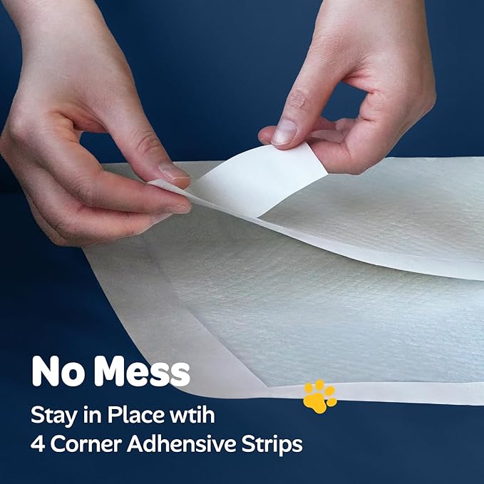 Disposable Potty / Pee Pads for Puppy Dog Training, 6-Layer Super Absorbent & Leak Proof, Odor Block Cat Pee Pads for Pet with Anti-Slip Adhesive Strips, 22''x22'' 100 Count, White