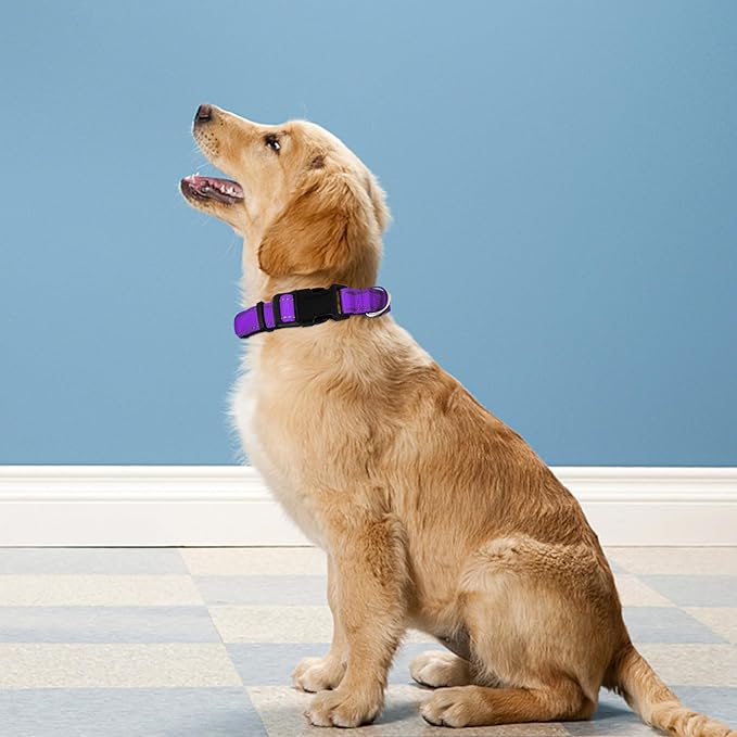 Reflective Dog Collar, Adjustable Soft Neoprene Padded Nylon Pet Collars with Buckle for Small Dogs, Purple,S