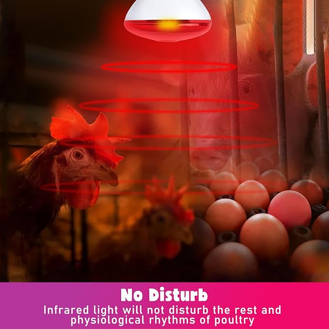 LUCKY HERP Infrared Heat Lamp for Chickens, 250 Watt Red Heat Lamp Bulb, 2 Pack Heat Light Bulb, Brooder Heat Lamp for Chicks Coop, Reptiles, Amphibian, Pet, Food Service