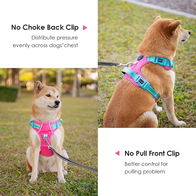 PHOEPET No Pull Dog Harness, Unique Colors Reflective Adjustable Dog Vest, with Soft Training Handle Metal Clips for Small Medium Large Dogs (Pink Base & Green Straps,S)