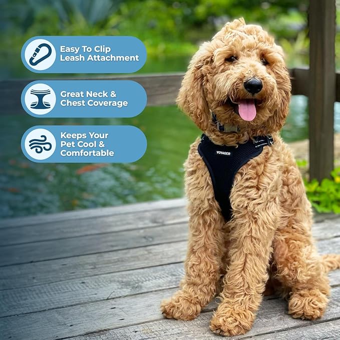 Best Pet Supplies Voyager Mesh Dog Breathable Harness Reflective Stitching, All Weather Adjustable for Walking Training, or Running - Heavy Duty & Durable, Harness Leash Set (Black), L