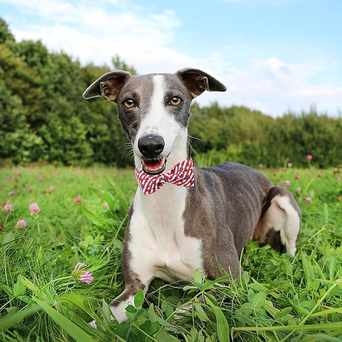 Unique style paws Independence Day Dog Collar with Bow Striped Star Puppy Collar for Small Medium Large Boys Girls Dogs