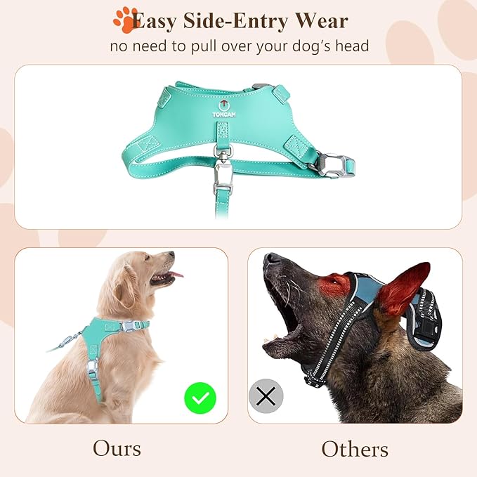 Magnetic Quick-Release Buckle Dog Harness and Leash Set, Easy Walk Faux Leather Puppy Harness and Leash, Easy On & Off Dog Vest for Small, Medium, Large Girl Boy Dogs for Training, Teal,L