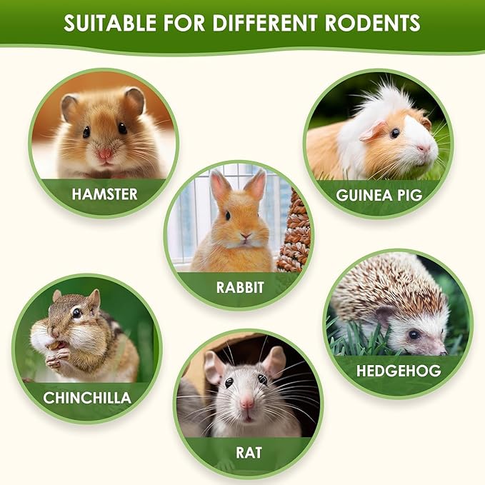 Okra Freeze-Dried Hamster Snack & Treats Toy - Small Animal Natural Treat for Dwarf Syrian Robo Hamsters Gerbils Mice Lemmings Degus or Other Small-Sized Pets (Freeze-Dried Okra)