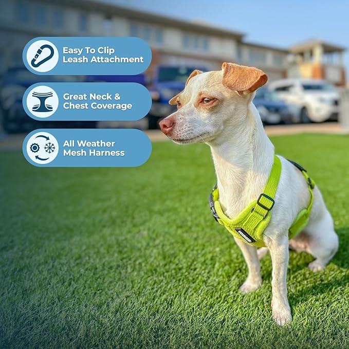 Best Pet Supplies Voyager Step-in Air Harness - All Weather Mesh, Reflective, No Pull Harness for Dogs, Cats - Secure with Hook & Loop Fastener, Buckle, Double D-Rings - Lime Green, L