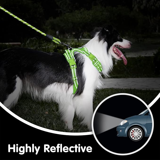 PoyPet No Pull Dog Harness and 5 Feet Leash Set, Release on Neck Reflective Adjustable Pet Vest, Front & Back 2 D-Ring and Soft Padded Pet Harness with Handle for Small to Large Dogs(Green,M)
