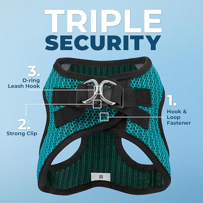 Best Pet Supplies Voyager Step-in Air Harness - All Weather Mesh, Reflective, No Pull Harness for Dogs, Cats - Secure with Hook & Loop Fastener, Buckle, Double D-Rings - Turqupise 2-Tone, XS