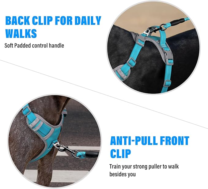 Plutus Pet No Pull Dog Harness, Release at Neck, Reflective Adjustable Dog Vest Harness, Easy Control Handle for Walking, for Small Medium Large Dogs, Cyan, L