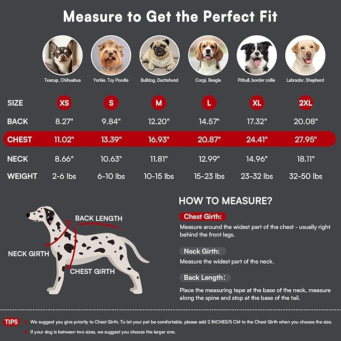 Queenmore Dog Sweater,Soft Fleece Vest Pullover Dogs Jacket with Elastic Stretchable,Warm Winter Dog Coats Cold Weather Doggy Dachshund Sweaters for Small Dogs Cats Boy or Girl (Red, XL)