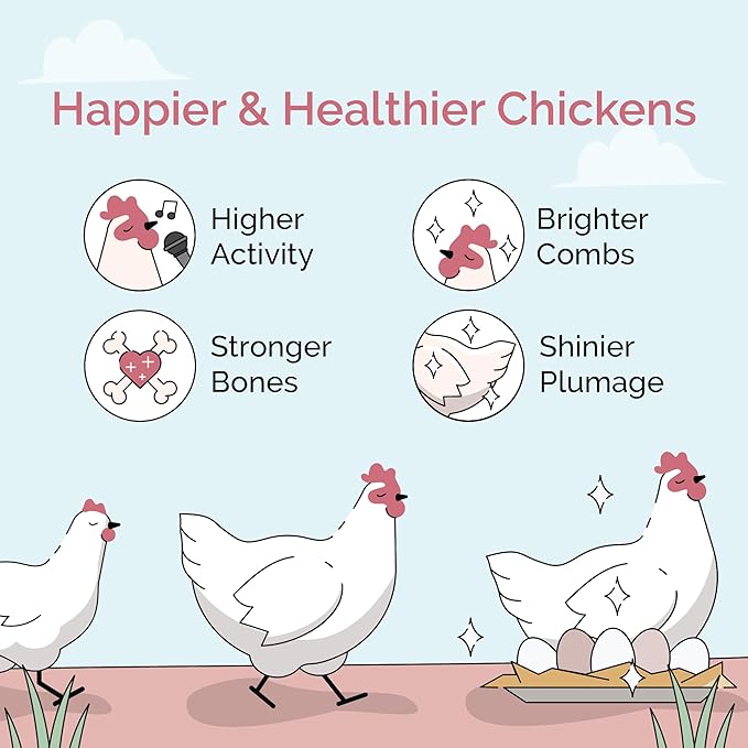 Mile Four Organic Chicken Feed – Layer Whole Grain, Non-GMO, USA Grown, 16% Protein, Corn-Free, Soy-Free, Non-Medicated Feed for Chickens, 23 lbs