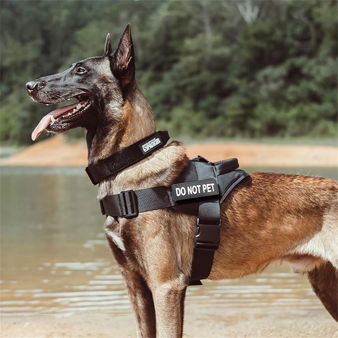 EXCELLENT ELITE SPANKER Tactical Dog Vest Training Military Patrol Service Dog Harness Easy Control Adjustable No-Pull Nylon Pet Harness with Handle for Small Medium Large Dogs(RGN-S)