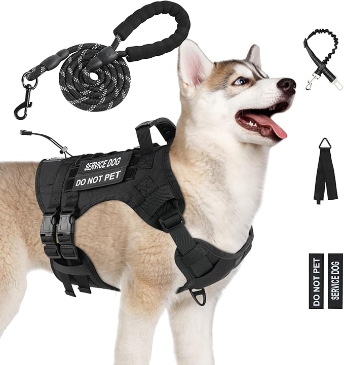 No Pull Tactical Dog Harness for Small Dogs, Escape Proof Molle Dog Vest Harness and Leash Set, Adjustable Military Service Dog Harness with Handle for Medium Large Dogs(Black, M)