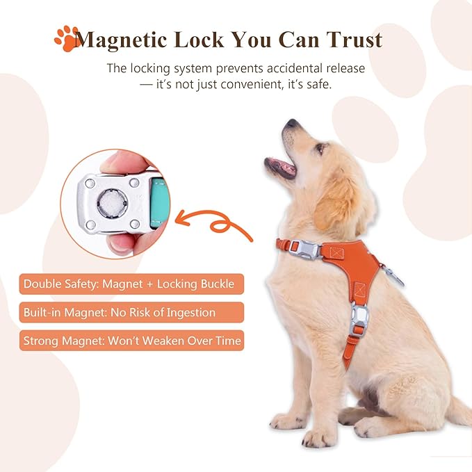 Magnetic Quick-Release Buckle Dog Harness and Leash Set, Easy Walk Faux Leather Puppy Harness and Leash, Easy On & Off Dog Vest for Small, Medium, Large Girl Boy Dogs for Training, Orange,M