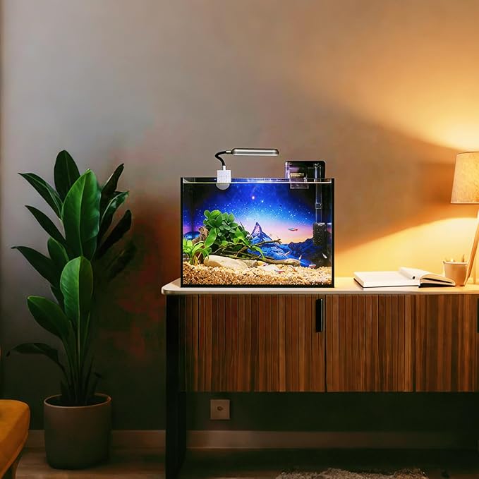 2.5 Gallon Glass Fish Tank with Filter LED Light Complete Betta Fish Tank Starter Kit for Small Aquarium Lovers, Rimless Freshwater Nano Tank with All Essentials Included