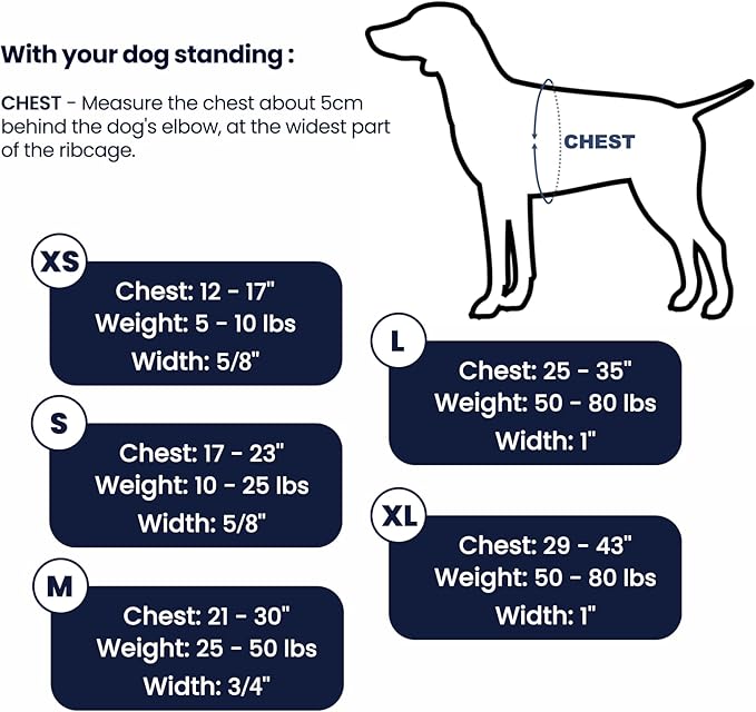 Non Restrictive Dog Harness, Easy Walk Freedom No Pull Harness, Keep Balance, Lightweight, Neck Buckle, 2 Clips for Back/Front Clip, Sewn-in Instructions Labels for Easy Use (Blue, X-Small)