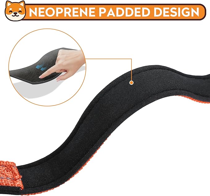 Reflective Dog Collar, Adjustable Soft Neoprene Padded Nylon Pet Collars with Buckle for Small Dogs, Orange,S