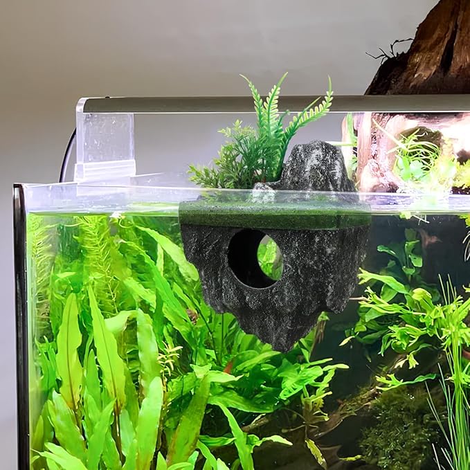 BESTonZON 2Pcs Aquarium Floating Decor Fish Tank Cave Ornaments for Betta Fish Hiding Resting Playing Breeding Natural Tank Decoration Rocks