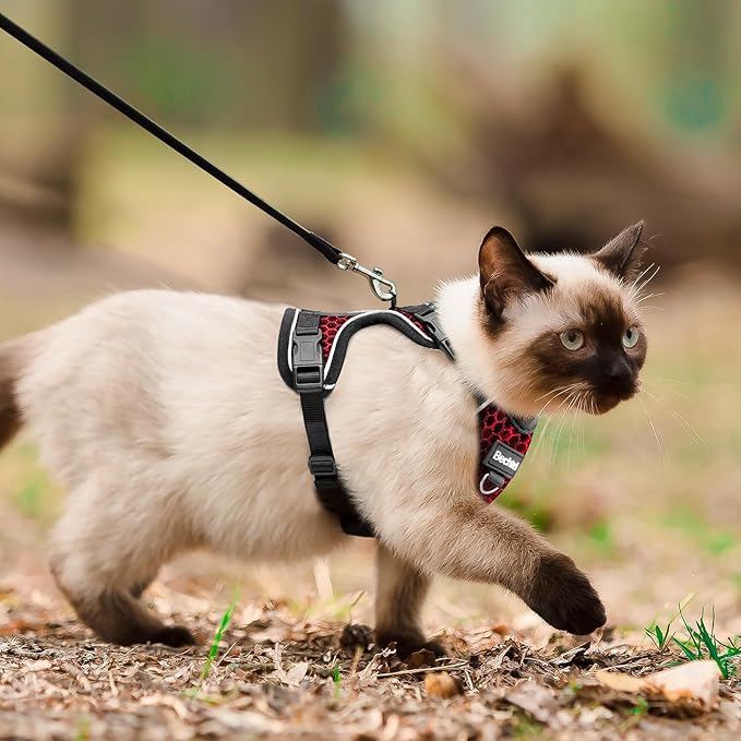 Cat Harness and Leash for Walking Escape Proof Soft Adjustable Cat Leash Breathable Honeycomb Structure Comfortable Vest Easy to Wear Kitten Harness for Outdoor Travel, Honeycomb Red, S