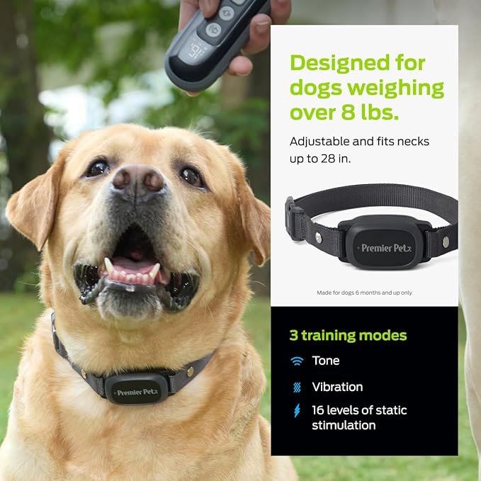 Premier Pet Dog Static Collar - 1000ft Dog Training Collar 2-Dog Bundle with Remote Dogs - Rechargeable Waterproof with 3 Training Modes - Tone Vibration & 16 Levels of Safe Static