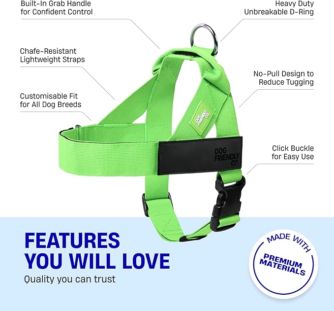 DF Co. Dog Harness | Chafe Resistant Webbing, Adjustable Neck & Chest, and Heavy Duty D-Ring | Sturdy, Comfortable, Easy to Use | Neon Green, Size XXS