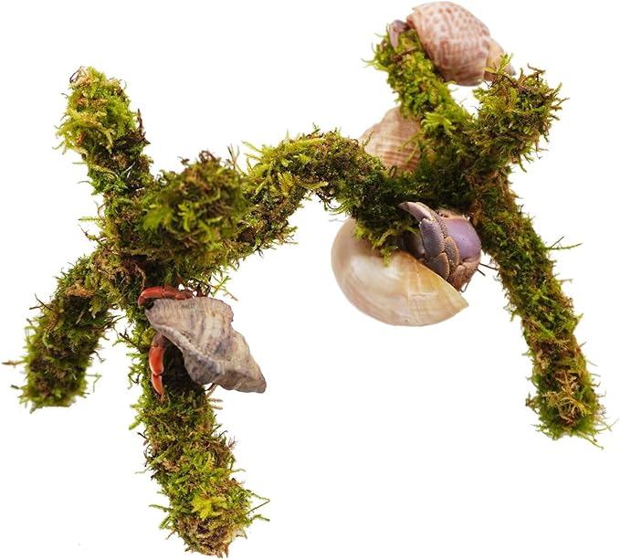 Hermit Crab Accessories, Adjustable Hermit Crab Climbing Toys（6 Inch）
