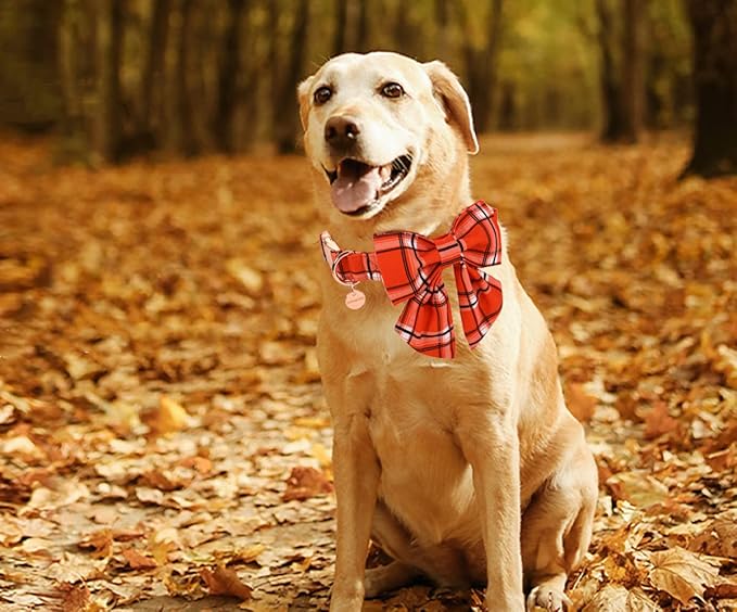 DOGWONG Fall Plaid Dog Collar with Removable Cute Bow Tie Adjustable Pet Collars, Soft Comfy Orange Plaid Pet Collar - Fall Dog Collar for Small Medium Large Dogs