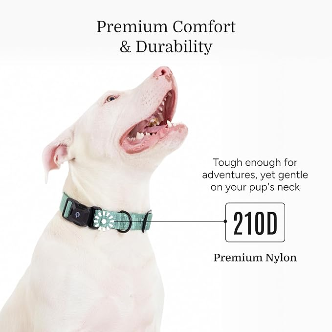 2025 New Edition, Fei & Eve MagEase Dog Collar - Patented Magnetic Buckles | Fur-Safe | Premium 210D Nylon | 450LB Escape-Proof | Adjustable Fit | Large (Glacier Green)