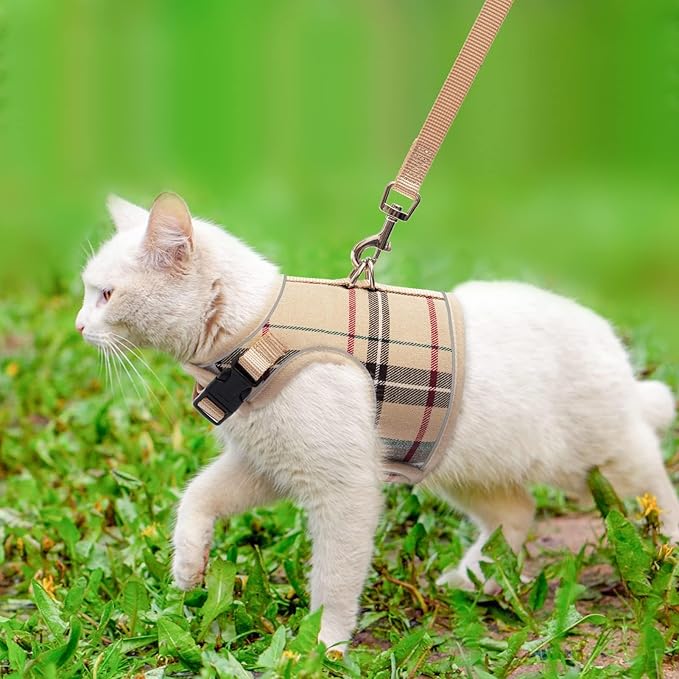 BINGPET Cat Harness and Leash Escape Proof - Soft and Air-Mesh Kitten Travel Walking Harness - Vest Harness for Small Medium Large Cats & Puppy Dog & Rabbit, Medium