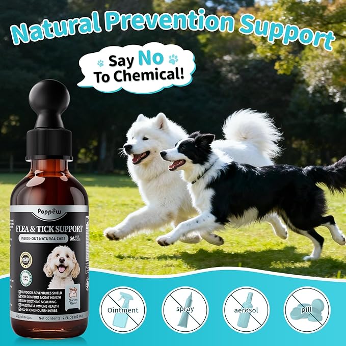 Flea and Tick Prevention Support for Dogs, Natural Flea Treatment Drops with Neem, Oregano for Puppy Oral Flea and Tick Treatment Supplement for All Breeds and Ages - Chicken Flavor, 2 FL.Oz