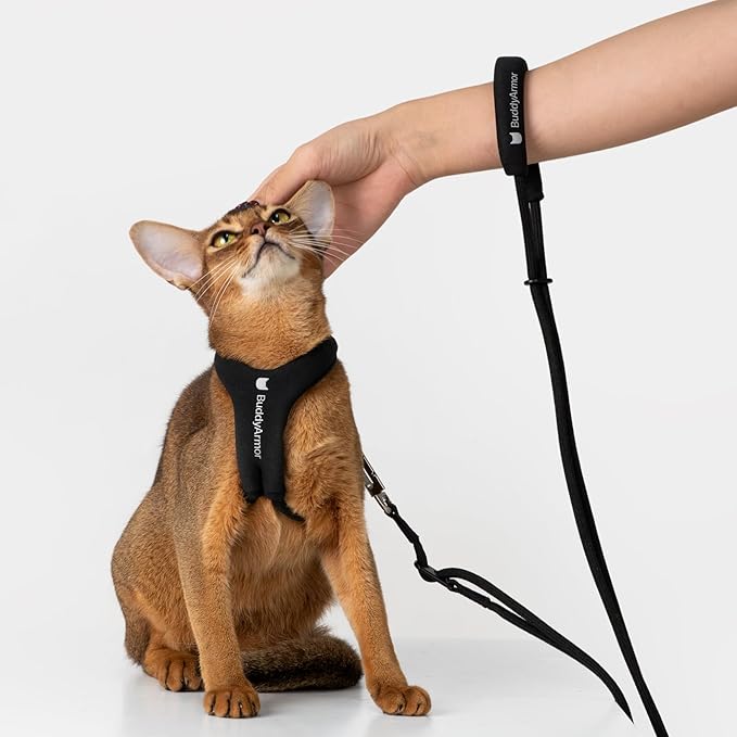 Escape Proof Y Shape Cat Harness Anti-Choke Buckle Adjustable Comfortable Padded Cat Vest Harness Anti Escape Cat Rope Harness for Kitten Small Medium Large Cats (Burgundy, S)
