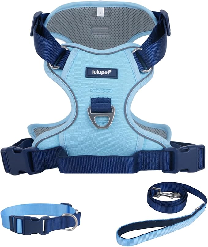 No Pull Dog Harness Leash and Collar Set, Soft Adjustable Dogs Vest Reflective and Comfortable Handle Blue Large