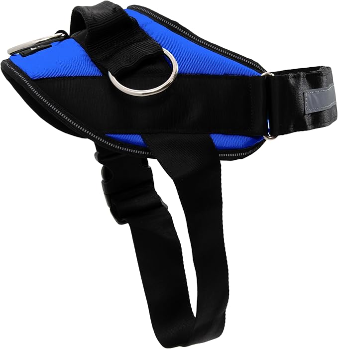 ShawnCo Essential Dog Harness, No-Pull Pet Vest with 3 Leash Clips, No Choke, Reflective, Adjustable and Padded, for Easy Walking and Training for Small, Medium and Large Dogs (Electric Blue,XL)
