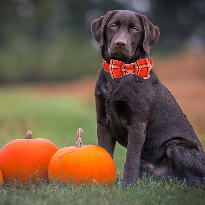 DOGWONG Fall Plaid Dog Collar with Removable Cute Bow Tie Adjustable Pet Collars, Soft Comfy Orange Plaid Pet Collar - Fall Dog Collar for Small Medium Large Dogs