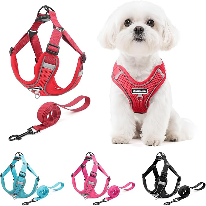 Dog Harness and Leash Set, Adjustable Triangle, Reflective Adjustable Puppy Vest, No Pull Soft Mesh Harness for Small, Medium Dogs, Cats (Red, M)