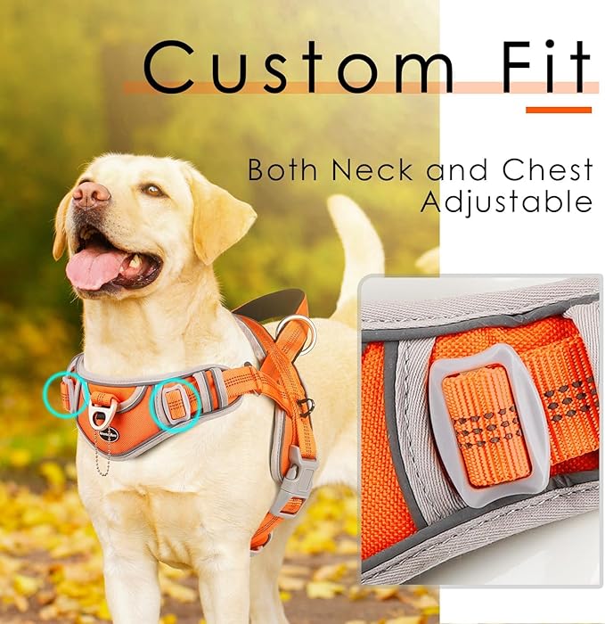 ADVENTUREMORE Dog Harness for Medium Dogs No Pull, Sport Dog Halter Harness Adjustable Reflective Dog Vest Escape Proof Dog Harness with Easy Control Front Clip Handle for Training Walking M Orange