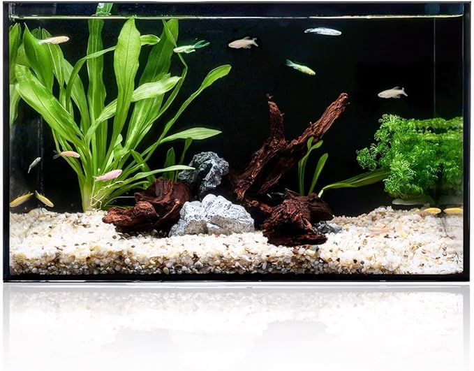 5 Gallon Clear Glass Fish Tank, Easy to Maintain Small Aquariumfor Betta, Goldfish, Snail,Shrimp and Aquatic Planting